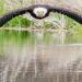Un photographe prend la photo parfaite d’un superbe aigle à tête blanche