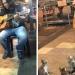 Un chanteur de rue était ignoré par tout le monde, puis 4 chatons sont venus manifester leur soutien