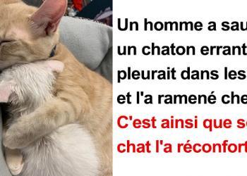 11 photos adorables prouvant que parfois les animaux valent mieux que les gens