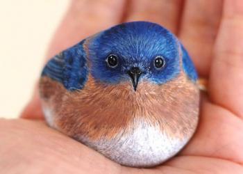 Une artiste transforme des pierres en animaux que vous pouvez tenir dans la paume de votre main