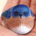 Une artiste transforme des pierres en animaux que vous pouvez tenir dans la paume de votre main