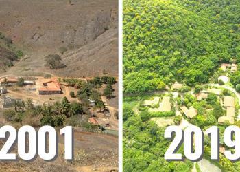 Un couple passe 20 ans à planter une forêt entière et les animaux sont revenus