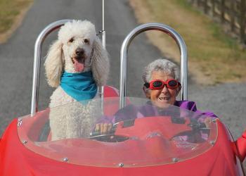 Une femme de 90 ans a refusé la chimio et a commencé à voyager avec son chien à la place
