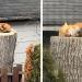 Adorable petit renard pris en train de faire la sieste sur une souche d’arbre