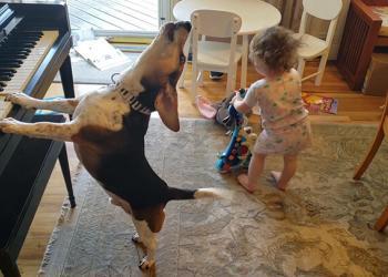 Ce bébé qui danse et ce chien qui joue du piano vont tous nous sauver (vidéo)