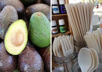 Une entreprise transforme les noyaux d’avocat en pailles et couverts biodégradables