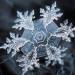 Des photos macro de flocons de neige montrent des motifs incroyablement parfaits