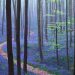 Il y a une forêt mystique en Belgique, toute recouverte de jacinthes des bois
