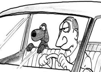 La recherche a montré que les personnes qui parlent aux animaux de compagnie sont plus intelligentes que celles qui ne le font pas