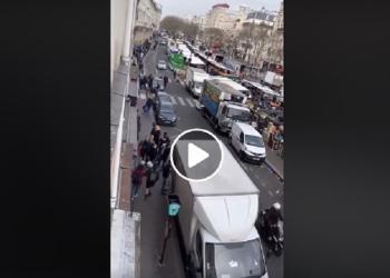 Confinement : Le Marché de Belleville à Paris grouillait de monde le dimanche 22 mars