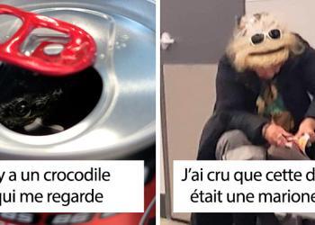 40 fois où des personnes ont fait l’expérience de la paréidolie et l’ont prise en photo pour que tout le monde puisse la voir