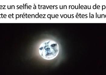 Si vous faites un selfie à travers un rouleau de papier toilette, vous ressemblerez à la lune (21 photos de personnes qui prétendent être la lune)