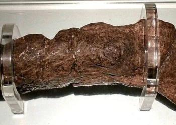 Le plus gros étron humain fossilisé jamais trouvé provient d’un Viking malade