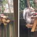 Un homme construit une adorable petite table de pique-nique pour les écureuils dans son jardin
