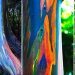 L’eucalyptus arc-en-ciel : Le plus bel arbre du monde