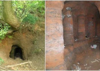 Un terrier de lapin dans une ferme mène à un mystérieux réseau de grottes des Templiers
