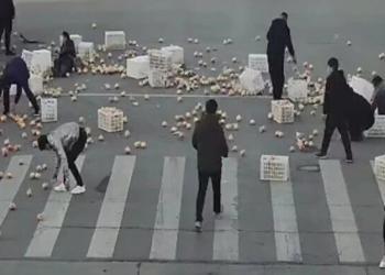 Un accident provoque un déversement massif de fruits, mais des conducteurs amicaux viennent à l’aide.