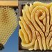 Les abeilles créent de magnifiques ruches en forme de cœur lorsqu’elles ne sont pas limitées par les cadres de ruche