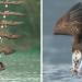 Un photographe prend des photos incroyables d’un balbuzard pêcheur en pleine plongée de chasse