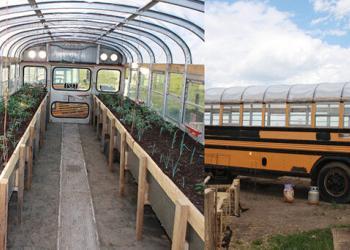 Une femme canadienne transforme des vieux bus scolaires en serres