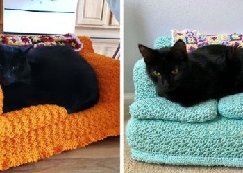 Des gens utilisent leur temps libre pour coudre de minuscules canapés pour leurs chats