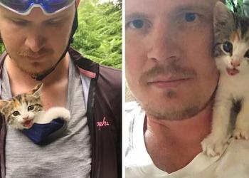 Un chaton trouvé seul près de la forêt, grimpe sur des cyclistes et ne veut pas les lâcher