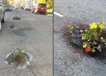 Des gens plantent des fleurs dans les nids de poule parce que les villes ne les réparent pas