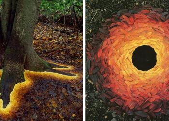 Un homme arrange des feuilles, des bâtons et des pierres pour créer des œuvres de land art magiques