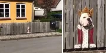 Une famille peint la clôture où leur chien aime passer la tête