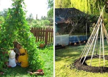 Des gens font pousser des tipis magiques de haricots grimpants pour leurs enfants