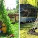 Des gens font pousser des tipis magiques de haricots grimpants pour leurs enfants