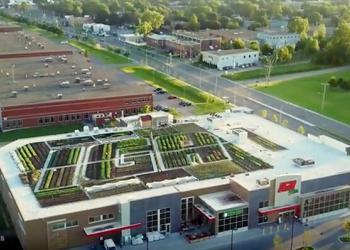 Une épicerie canadienne cultive ses propres légumes bio sur les toits