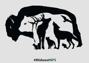 Combien d’animaux pouvez-vous repérer sur cette image ?