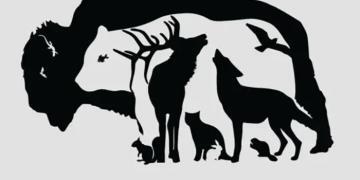 Combien d’animaux pouvez-vous repérer sur cette image ?