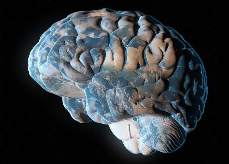 Des astrobiologistes avancent l’hypothèse que la Terre pourrait être une entité dotée d’intelligence