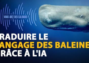 Chat GPT pourrait-il parler avec les baleines ?