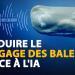 Chat GPT pourrait-il parler avec les baleines ?