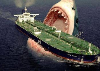 Le mégalodon : Le plus grand requin qui ait existé … ou qui existe encore ?