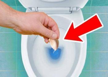 Mettez de l’ail dans les toilettes avant de vous coucher, voyez ce qui se passe