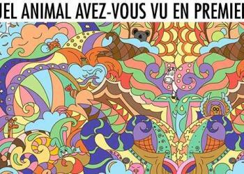 L’animal que vous repérez en premier en dit long sur votre personnalité