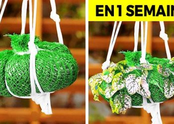 Astuces incontournables de jardinage ! Conseils simples pour un jardin florissant (vidéo)