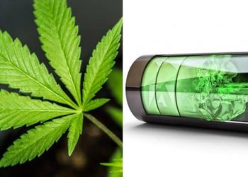 Les batteries en chanvre durent 8 fois plus longtemps que celles au lithium et surpassent le graphène