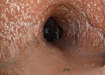 Ces énormes tunnels ont été creusés par un paresseux géant qui vivait il y a 10 000 ans en Amérique du Sud