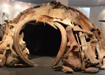 Des habitations en os de mammouth parfaitement préservées découvertes en Ukraine pourraient être les plus anciens exemples d’architecture