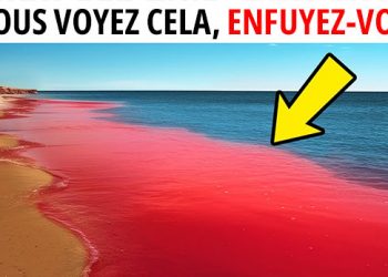 Les 7 phénomènes naturels les plus dangereux dans l’océan