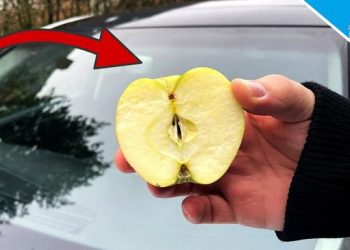 Frottez votre pare-brise avec une pomme et voyez ce qui se passe
