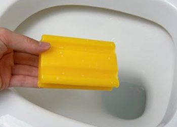 Aujourd’hui, j’ai découvert qu’en mettant un savon dans les toilettes, elles restent propres et sans odeur pendant six mois sans les brosser