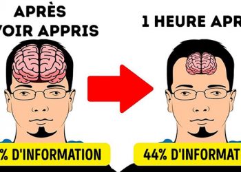 11 secrets pour mémoriser plus rapidement que les autres