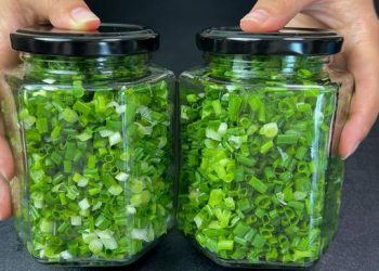 Conserver des oignons verts est si simple. Ils restent frais pendant un an, et vous pouvez les prendre au fur et à mesure, sans gaspillage et avec une grande commodité.