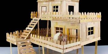 Comment faire une maison en bâtonnets de glace pour un rat